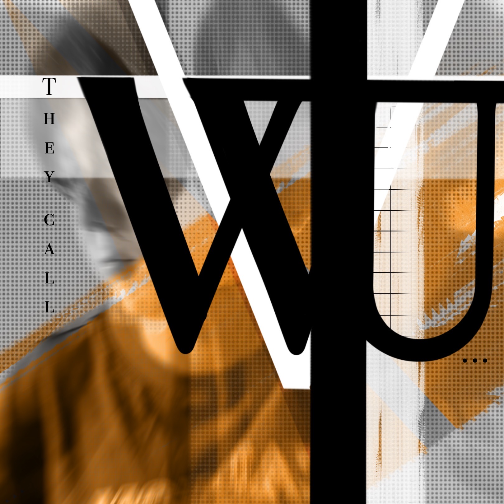 They Call WU record artwork